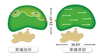 大崗山球道第十一洞球道