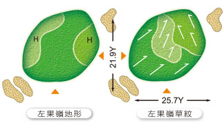 大崗山球道第二洞球道