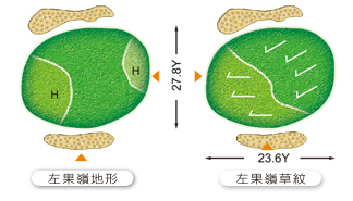 大崗山球道第十二洞球道